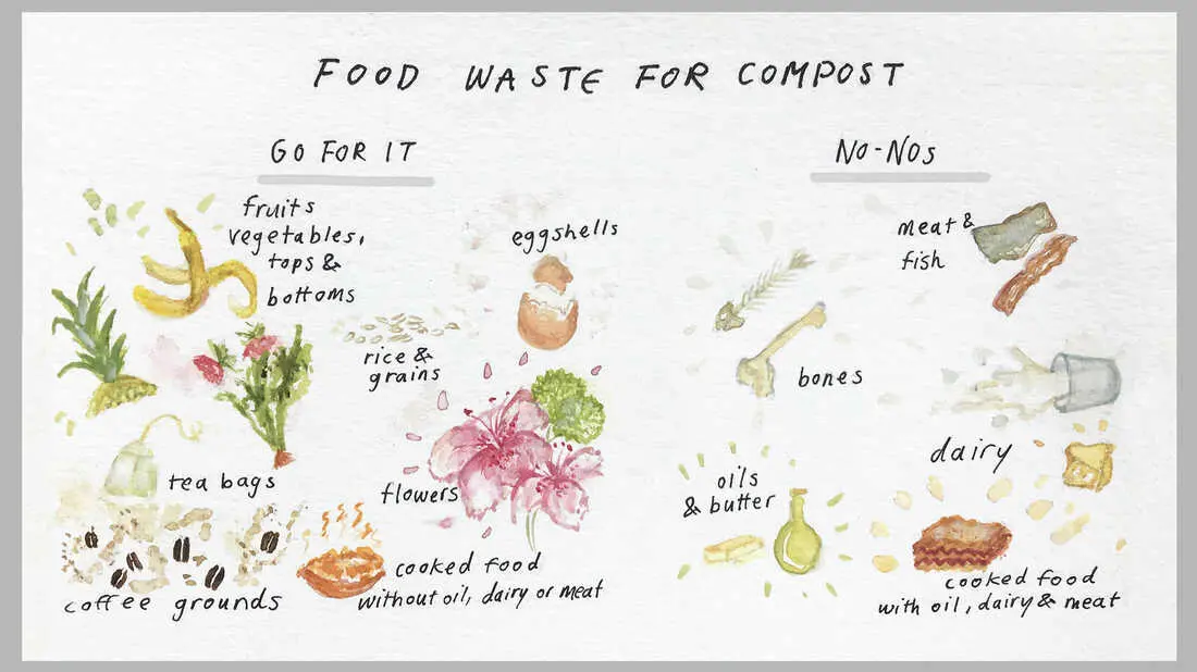 Do-it-yourself compost in bags: what components can and cannot be used