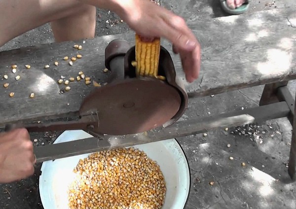 Do-it-yourself corn peeler: instructions