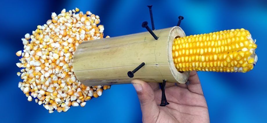 Do-it-yourself corn peeler: instructions