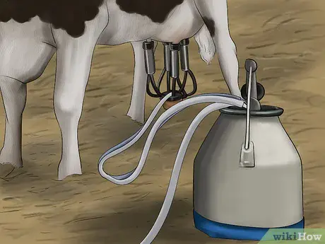 Do-it-yourself cow milking machine