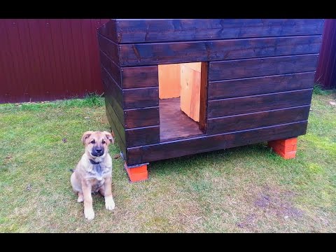 Do-it-yourself dog house from boards