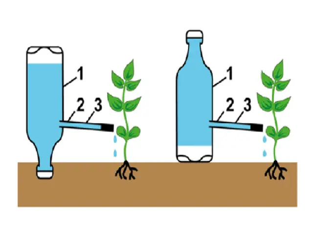 Do-it-yourself drip irrigation of potatoes