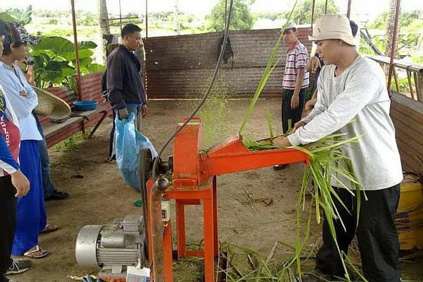 Do-it-yourself electric garden shredder