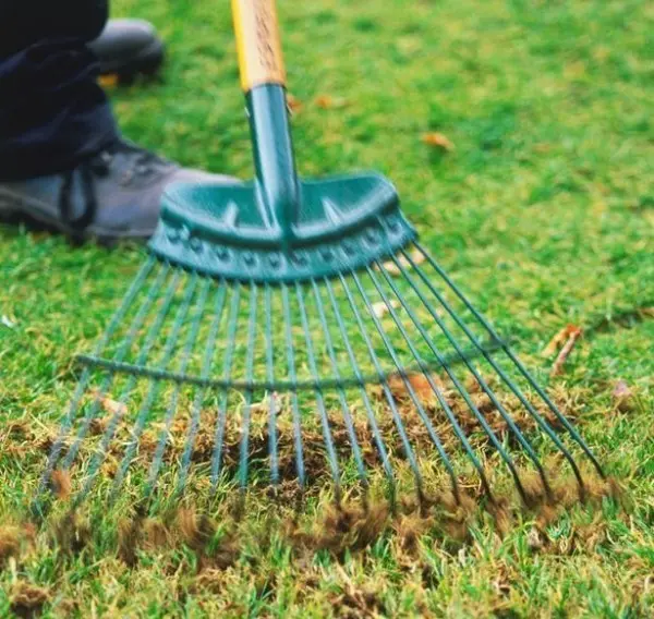 Do-it-yourself fan rake using improvised means