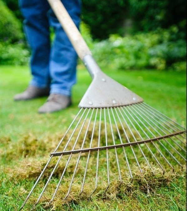 Do-it-yourself fan rake using improvised means