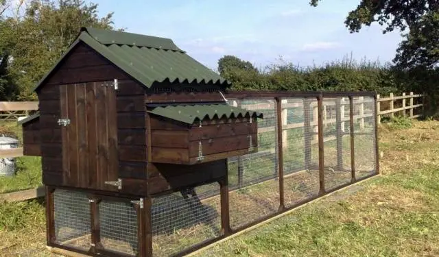 Do-it-yourself frame chicken coop: step by step instructions