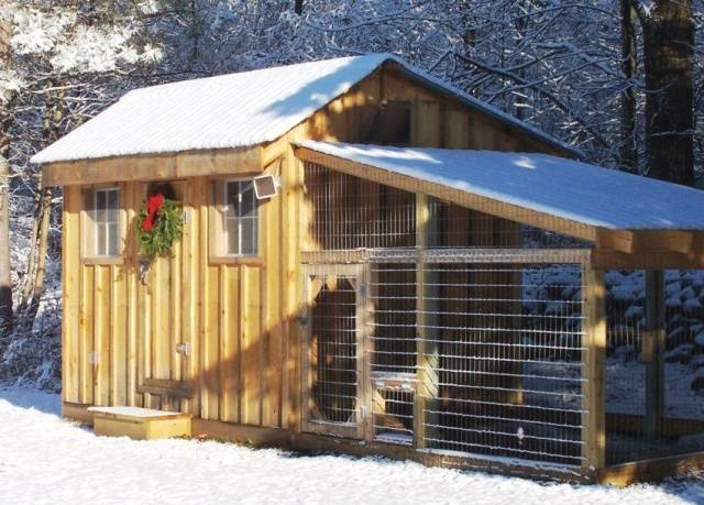 Do-it-yourself frame chicken coop: step by step instructions - Healthy ...