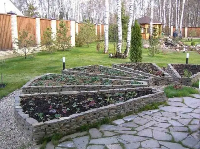 Do-it-yourself garden paths from tires + photo