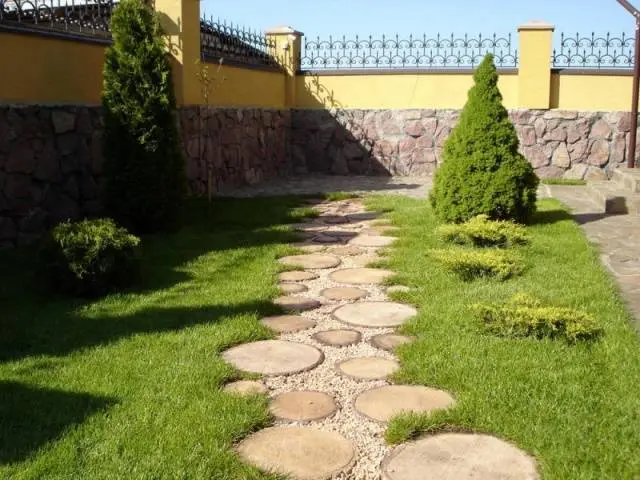 Do-it-yourself garden paths from tires + photo