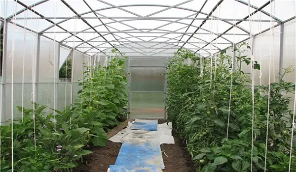 Do-it-yourself greenhouse for cucumbers: recommendations for beginners