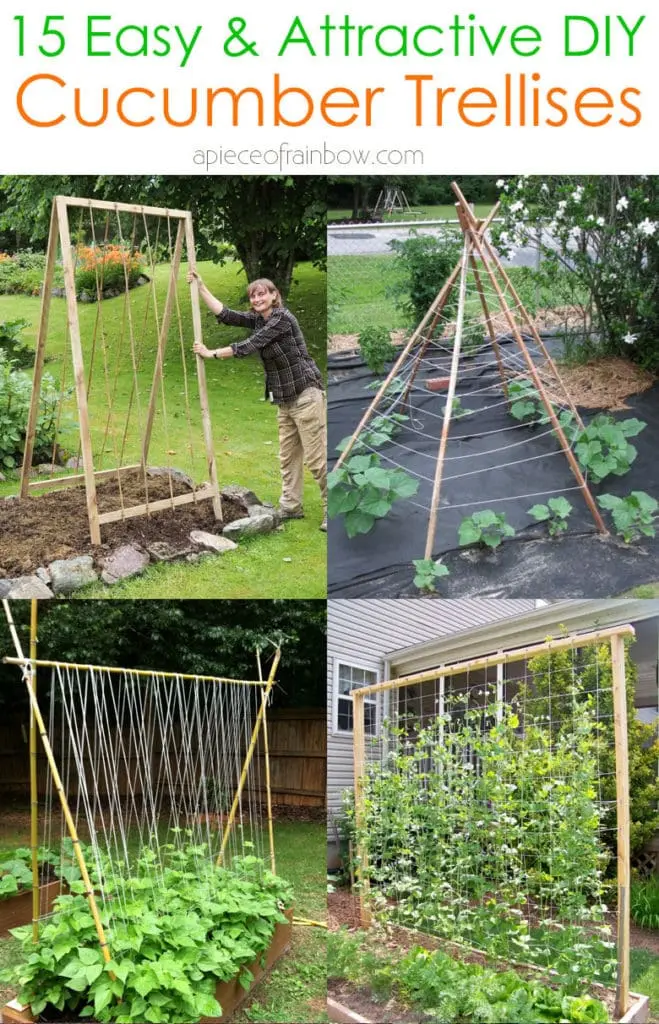 Do-it-yourself greenhouse for cucumbers: recommendations for beginners