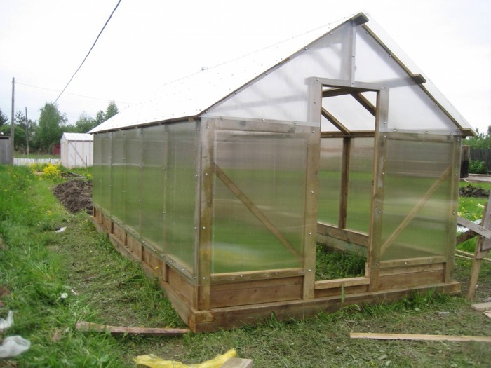 Do-it-yourself greenhouse from improvised materials: tips