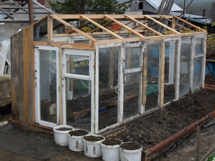 Do-it-yourself greenhouse from improvised materials: tips