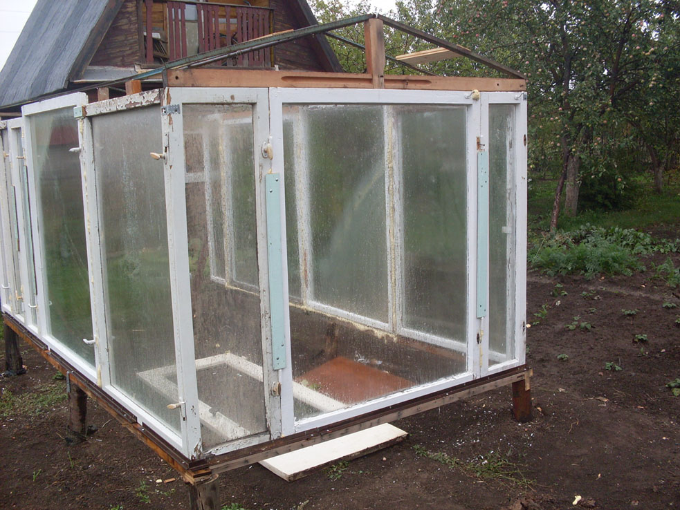 Do-it-yourself greenhouse from improvised materials: tips