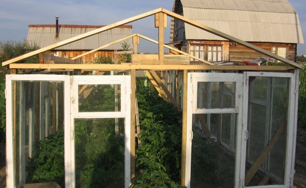 Do-it-yourself greenhouse from window frames: instructions