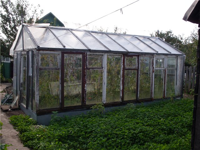 Do-it-yourself greenhouse from window frames: instructions