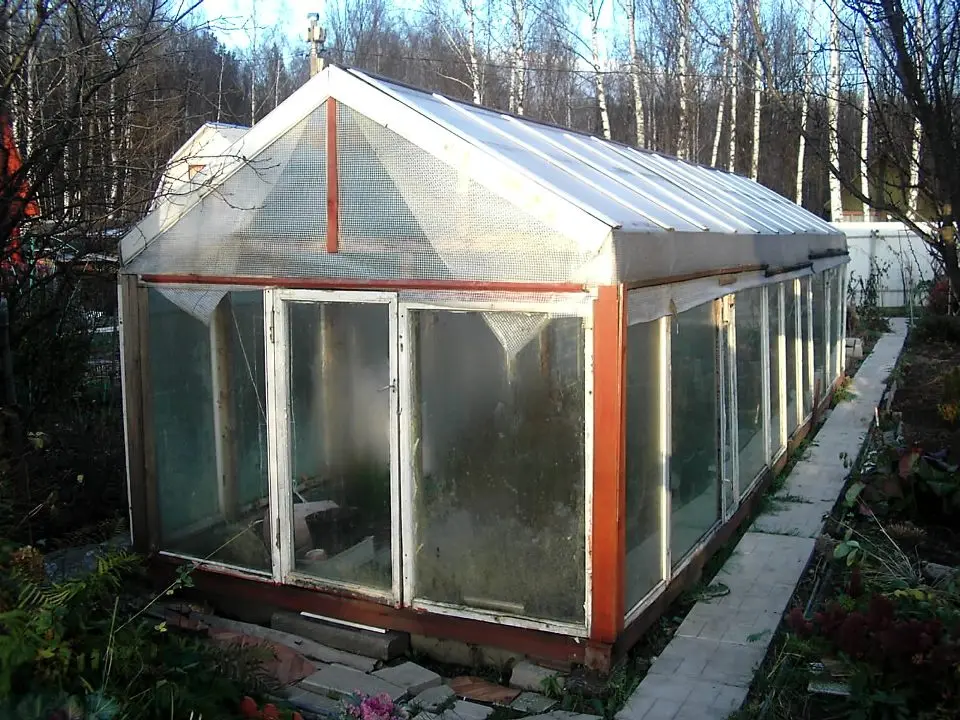 Do-it-yourself greenhouse from window frames: instructions