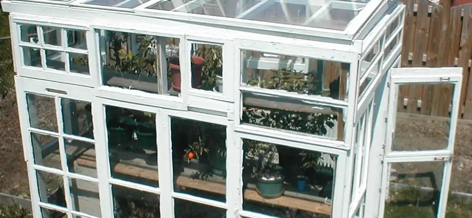 Do-it-yourself greenhouse from window frames: instructions