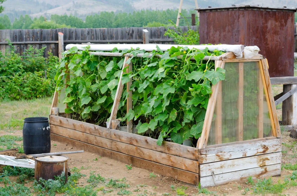 Do-it-yourself mini-greenhouse: instructions with photos