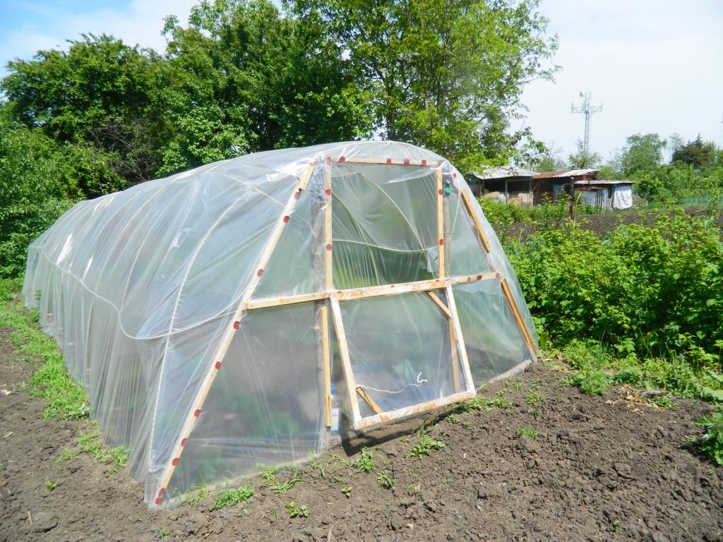 Do-it-yourself mini-greenhouse: instructions with photos