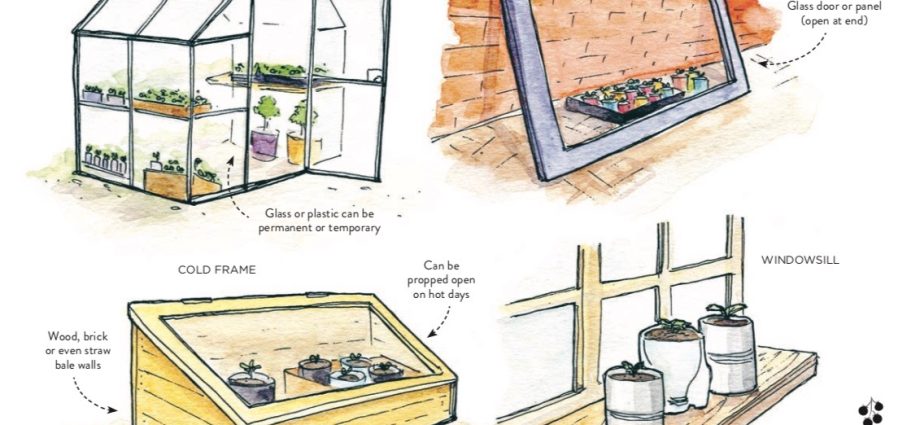 Do-it-yourself mini-greenhouse: instructions with photos