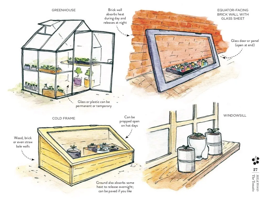 Do-it-yourself mini-greenhouse: instructions with photos