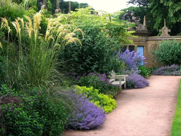 Do-it-yourself mixborder of shrubs and perennials