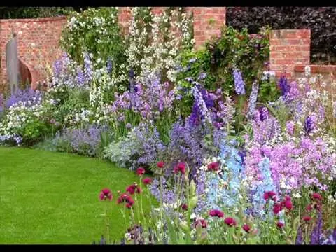 Do-it-yourself mixborder of shrubs and perennials