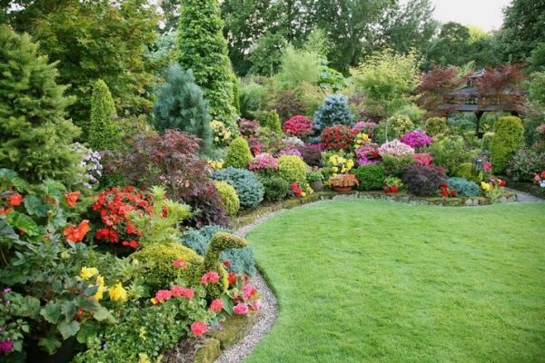 Do-it-yourself mixborder of shrubs and perennials