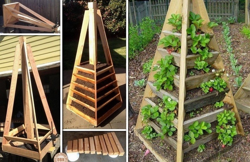 Do-it-yourself multi-tiered beds for strawberries