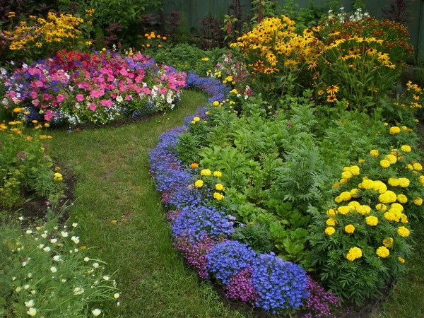 Do-it-yourself perennial rabatka along the path