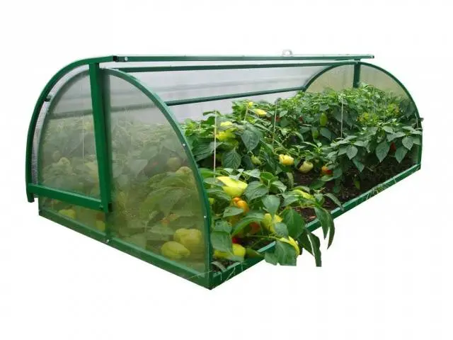 Do-it-yourself polycarbonate greenhouse + drawings