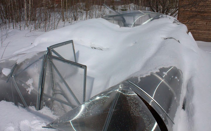 Do-it-yourself polycarbonate greenhouse repair: tips