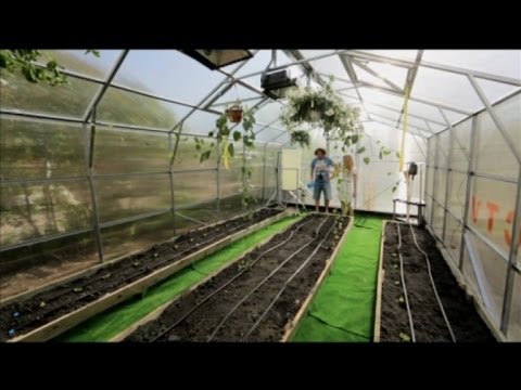 Do-it-yourself polycarbonate greenhouse repair: tips