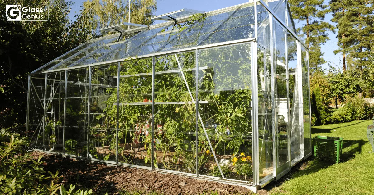 Do-it-yourself polycarbonate greenhouse step by step