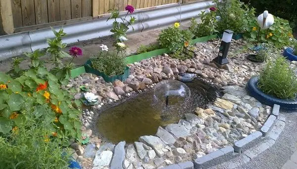 Do-it-yourself pond from an old bath: materials, step-by-step workflow, decor ideas + photos of finished ponds