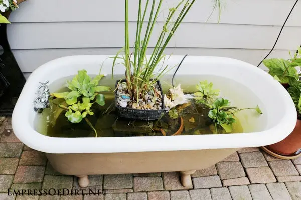 Do-it-yourself pond from an old bath: materials, step-by-step workflow, decor ideas + photos of finished ponds