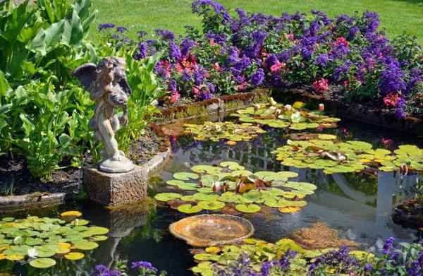 Do-it-yourself pond in the country: how to dig, improve and decorate a pond, the best design ideas from professionals + photos