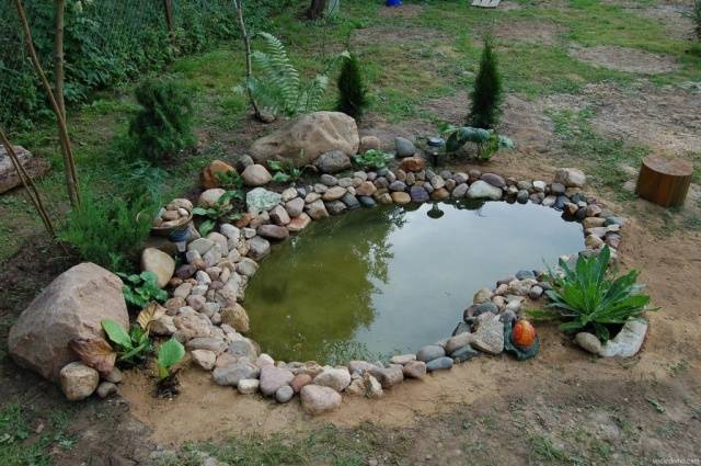 Do-it-yourself pond in the country: photo