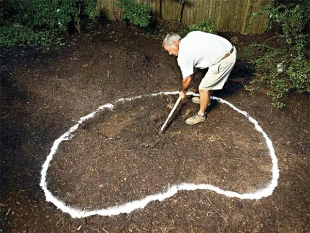 Do-it-yourself pond in the country: photo