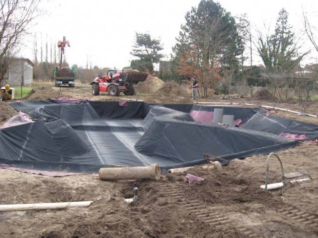 Do-it-yourself pond in the country: photo