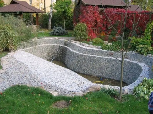 Do-it-yourself pond in the country: photo