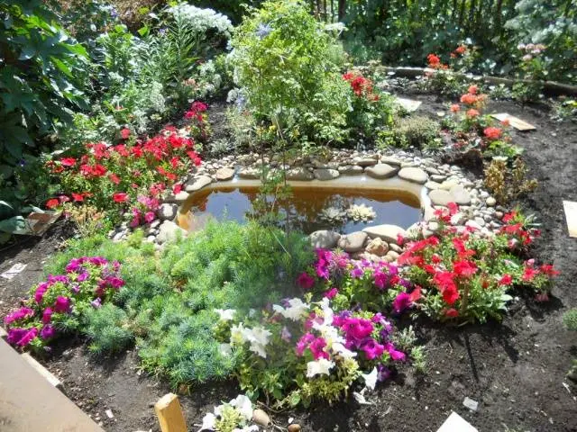 Do-it-yourself pond in the country: photo