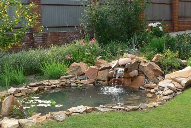 Do-it-yourself pond in the country: photo