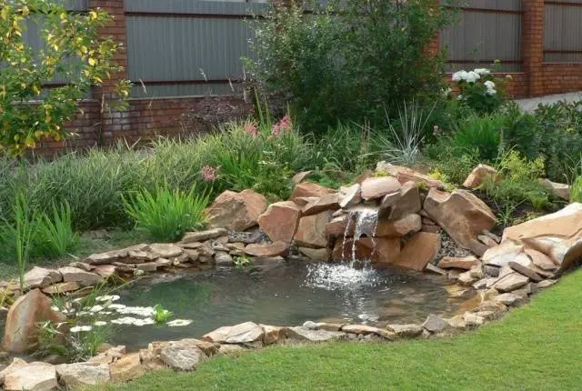 Do-it-yourself pond in the country: photo