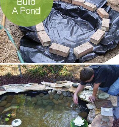 Do-it-yourself pond in the country: photo