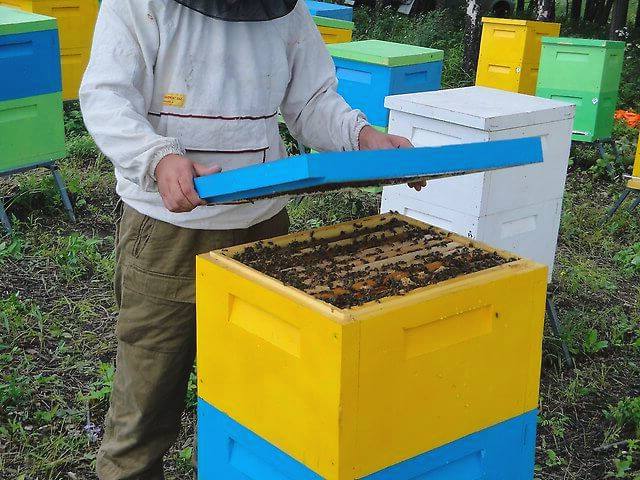 Do-it-yourself PPU hive