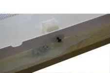 Do-it-yourself PPU hive