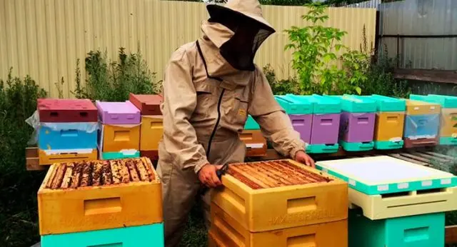 Do-it-yourself PPU hive