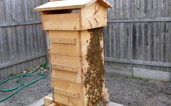 Do-it-yourself PPU hive